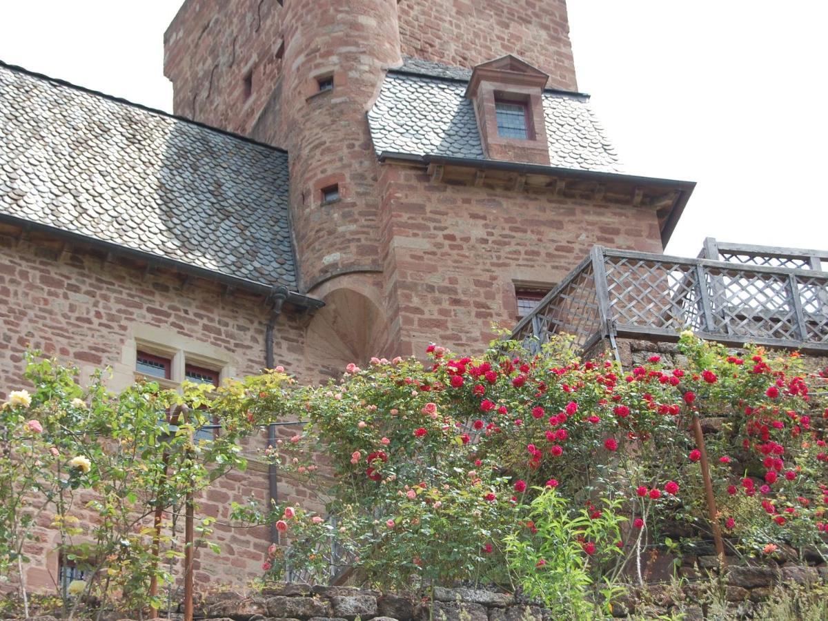 Chateau La Servayrie - Chambre D'Hotes Marcillac-Vallon Dış mekan fotoğraf